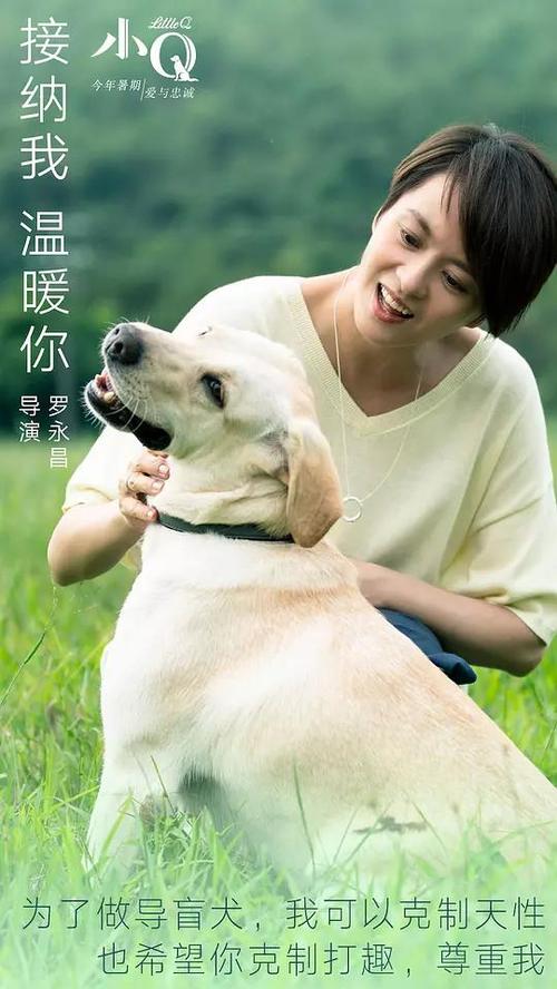 代办日本爱媛大学文凭毕业证